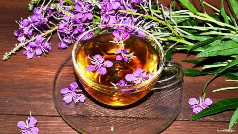 Decoction of leaves and flowers of the bush for the treatment of male diseases