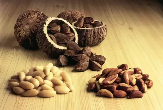 Brazilian nuts for potency