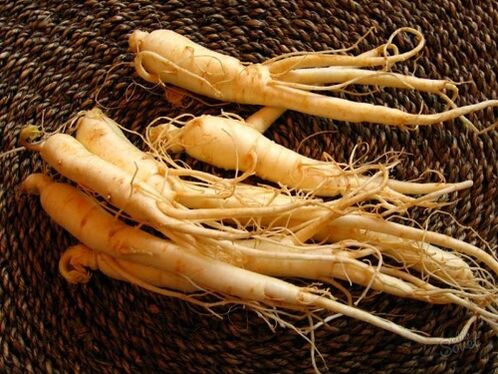 Ginseng root will increase potency after 60 years