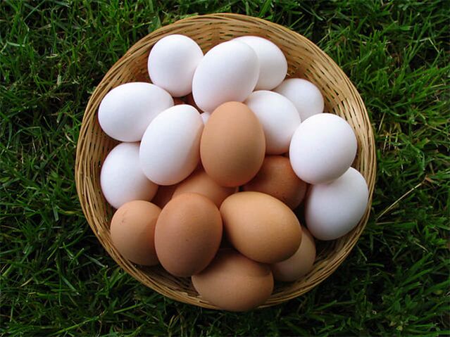 Chicken eggs enhance erections and increase male libido